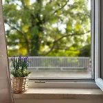 Apartman Versus *