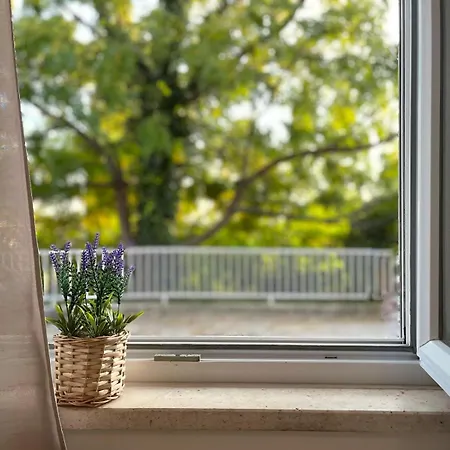 Apartment Versus *